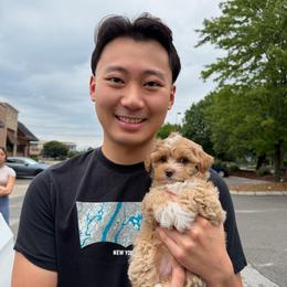 Penelope - Apricot female Maltipoo puppy in Lawrenceburg, Tennessee from LUV Poodles and Maltipoos