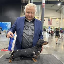 Dachshund All Grown Up from Randall Salkowski