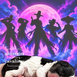 Abs - Tri-color male Cavalier King Charles Spaniel puppy in Ammon, Idaho from Ammon Acres Cavaliers