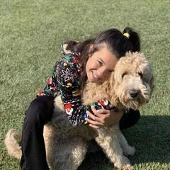 Holli - Irish Doodle