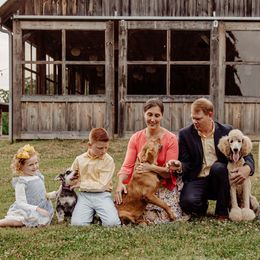 Poodles from Alexander’s Standard Poodles