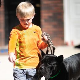 Cane Corso and Shetland Sheepdogs from Redemption Kennels