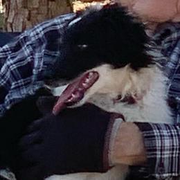 Duke - Black and white male Aussiedoodle puppy in Nacogdoches, Texas from BA Mini Poodles