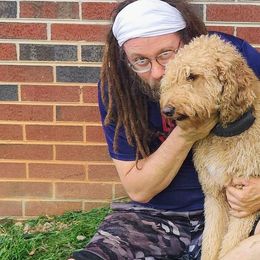Goldendoodles and Poodles from Doodles to Poodles