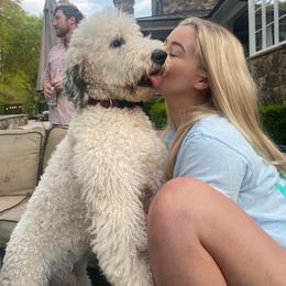 Goldendoodle, Poodle, and Sheepadoodle All Grown Up from Brewer's Goldendoodles & Sheepadoodles