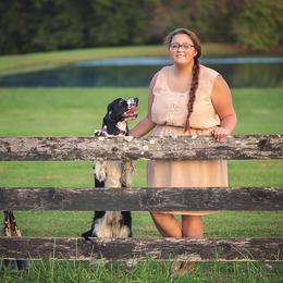 Collie and English Springer Spaniel All Grown Up from Briarcreek