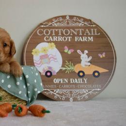 Golden Retriever Puppies from Revival Retrievers