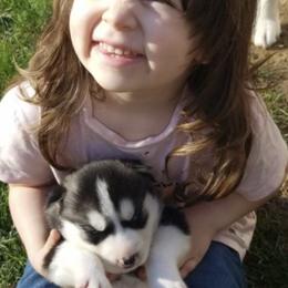Siberian Husky Puppies from Addicted to the husky life
