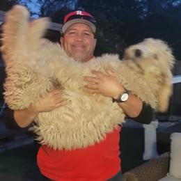 Goldendoodle All Grown Up from Island Doodle Co. - Goldendoodles Raised with Love