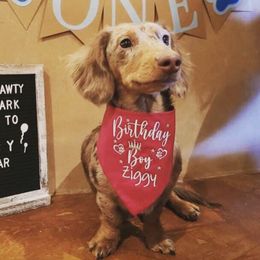 Dachshunds and Pembroke Welsh Corgis from Rockstar.Weiners