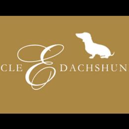 Dachshunds from Sarah Owens