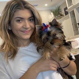 Gracie - Yorkshire Terrier