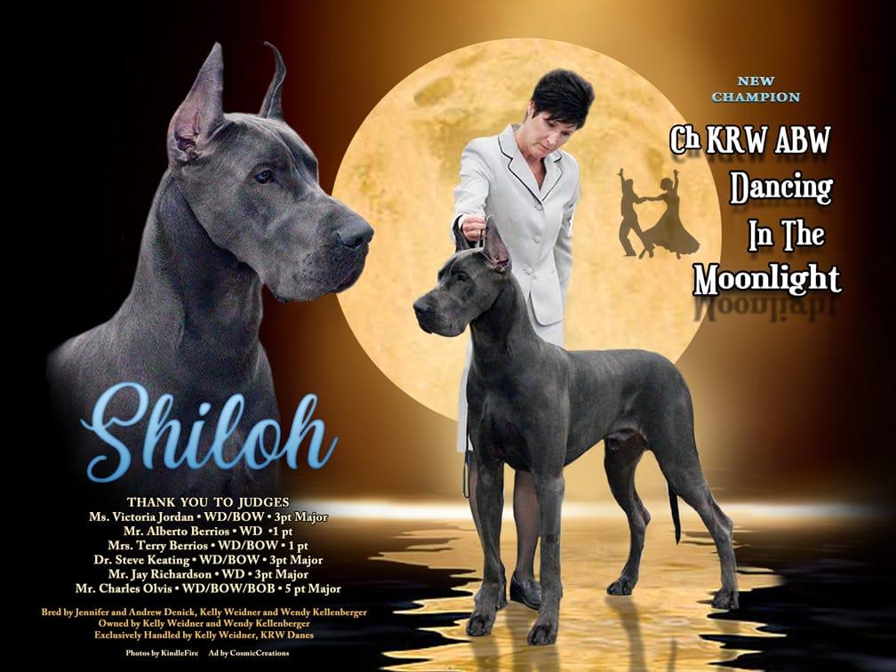 Shiloh