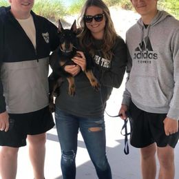 Doberman Pinscher Puppies from Jensen Dobermans