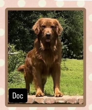 Doc