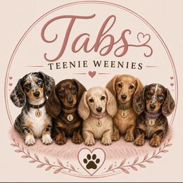 Dachshunds from Tabs Teenie Weenies 🌭