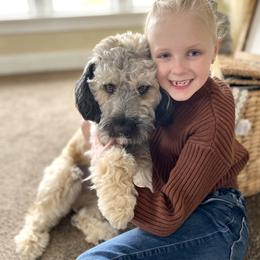 Flynn - Whoodle