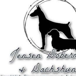 Dachshunds and Doberman Pinschers from Jensen Dobermans