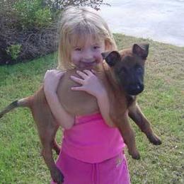 Belgian Malinois Puppies from MPACT Malinois