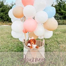 Journey - Red  female Goldendoodle puppy in Mahomet, Illinois from Jordan Family Doodles