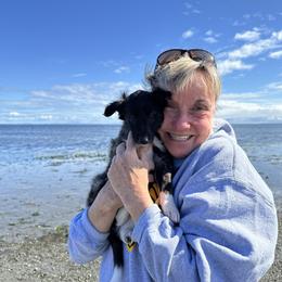 Silken Windhound Puppies from Luminous Silken Windhounds