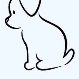 Trixie - Maltese