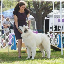 Great Pyrenees All Grown Up from McCarthy Ranchette LLC