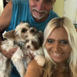 Yorkshire Terrier Puppies from Jackie Jenny’s Precious Yorkies