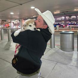 Noel - Sable and white female Alaskan Malamute puppy in Brookwood, Alabama from Sunset Malamutes