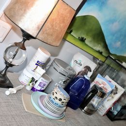 French Bulldog Puppies from Camp Fine Frenchies