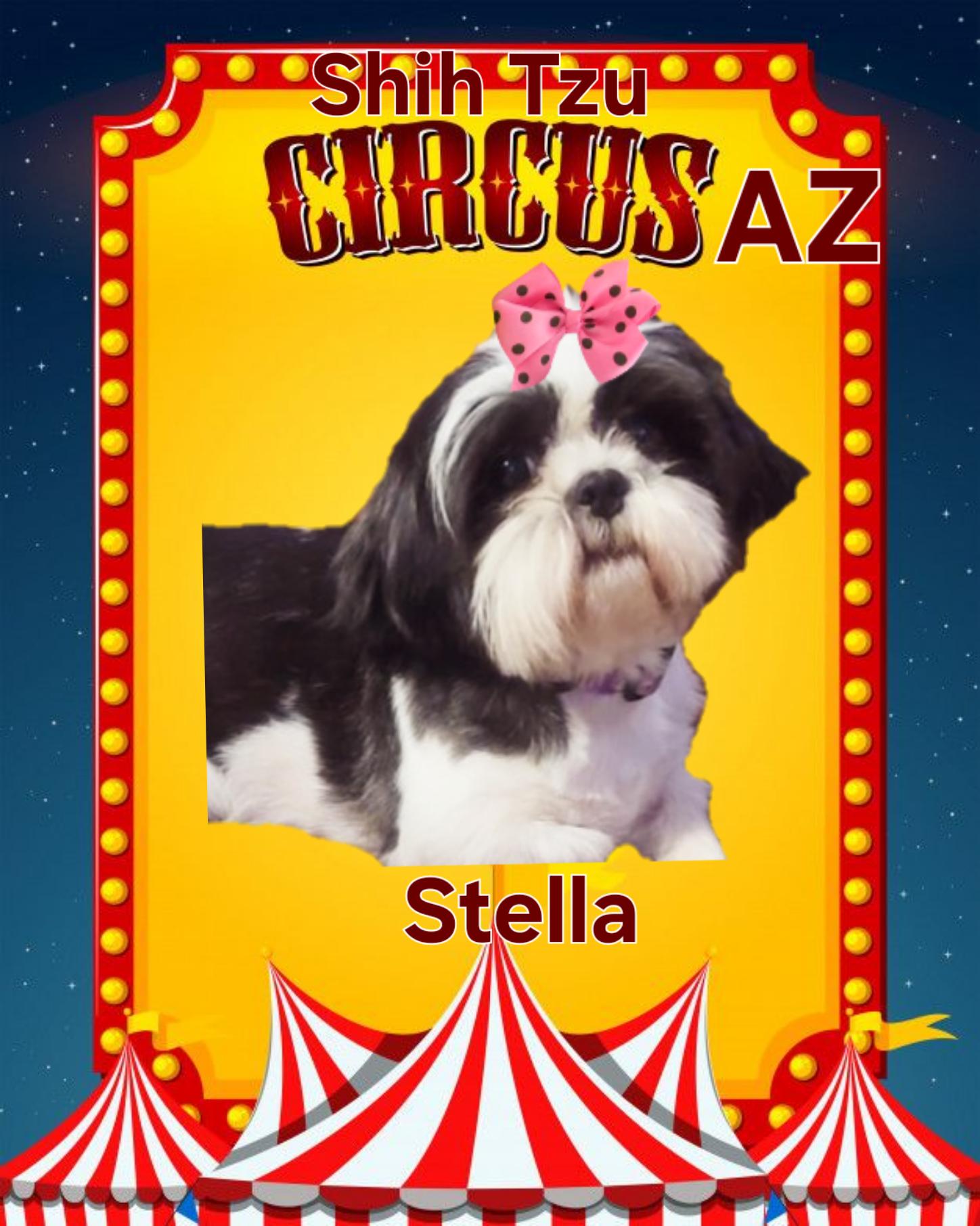 Stella