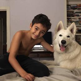 Berger Blanc Suisse and German Shepherd Puppies from Vom Hundhaus German Shepherds