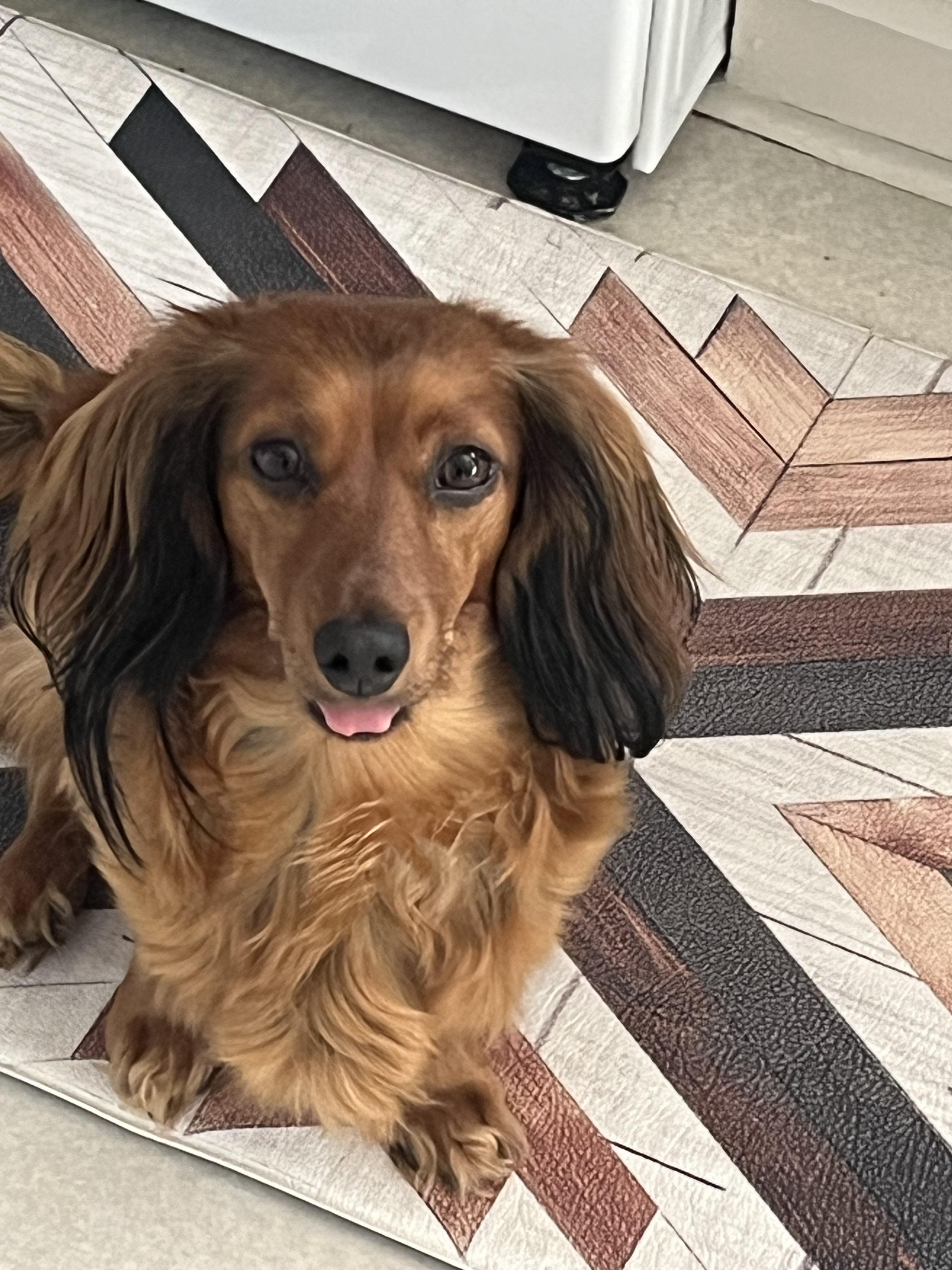 Winnie