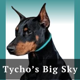 Leo - Black and rust male Doberman Pinscher puppy in Houston, Texas from Tycho's Dobermans