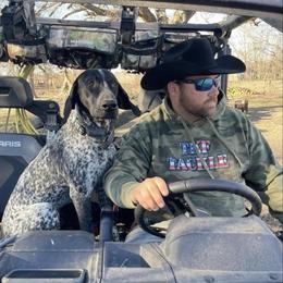 Moose - German Shorthaired Pointer