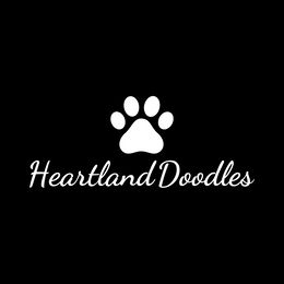 Goldendoodles from Heartland Doodles LLC