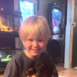 Dachshund and Miniature Australian Shepherd Puppies from Southern Charm Kennels