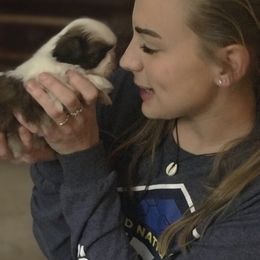 Shih Tzu Puppies from Willow Lane Shih Tzus