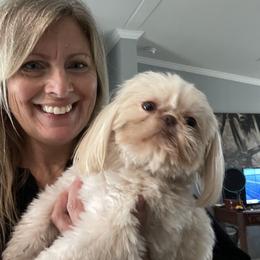 Shih Tzu Puppies from Sweet on Tzu