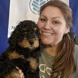 Goldendoodle Puppies from Gallimore Doodles