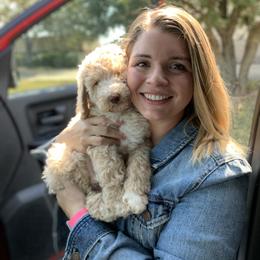 Goldendoodle, Golden Retriever, and Poodle Puppies from Studmuffin Services