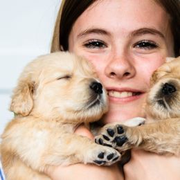 Goldendoodles and Golden Retrievers from Cascade Pups