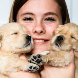 Goldendoodles and Golden Retrievers from Cascade Pups