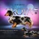 Grand Champion TROYA