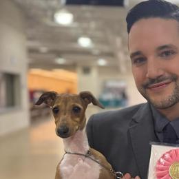 Italian Greyhounds from Envy Italian Greyhounds