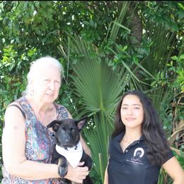 Vin - Black and cream male German Shepherd puppy in De Land, Florida from 3B’s Animal Artistry