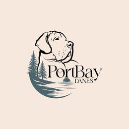 Great Dane puppies from Port Bay Danes