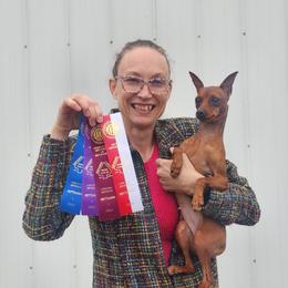 Lana - Miniature Pinscher