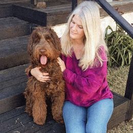 Libby - Australian Labradoodle