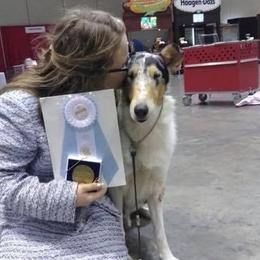Dodger - Collie
